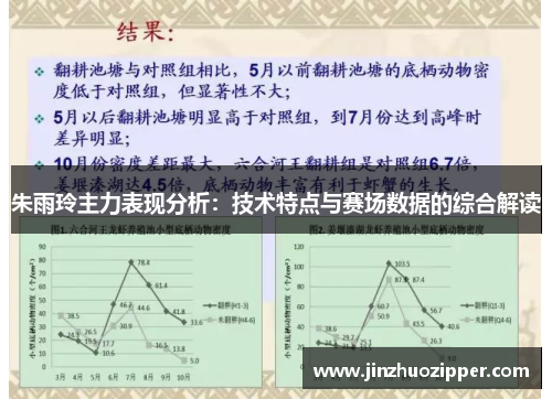 朱雨玲主力表现分析：技术特点与赛场数据的综合解读